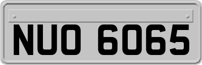 NUO6065