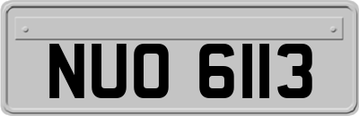 NUO6113