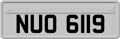 NUO6119