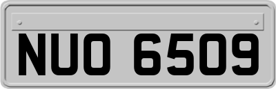 NUO6509