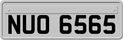 NUO6565