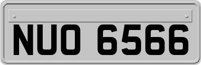 NUO6566