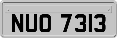 NUO7313