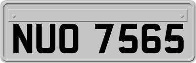 NUO7565