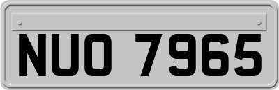 NUO7965