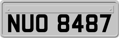 NUO8487
