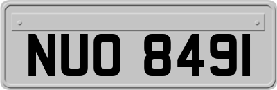NUO8491