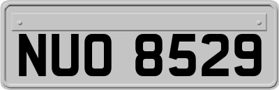 NUO8529