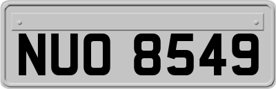 NUO8549