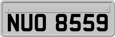 NUO8559