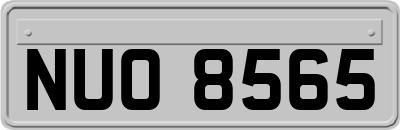 NUO8565