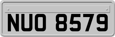 NUO8579