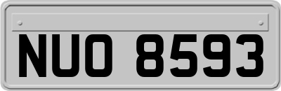NUO8593