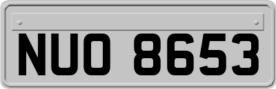 NUO8653
