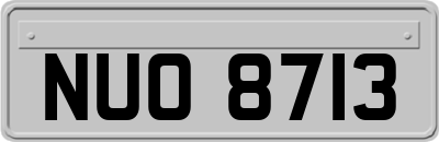 NUO8713