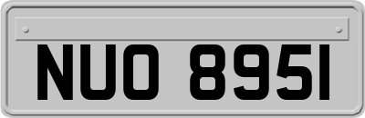 NUO8951