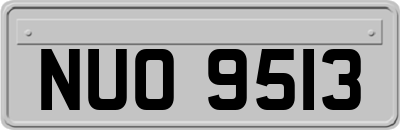 NUO9513