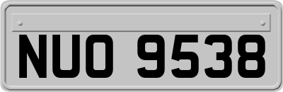 NUO9538