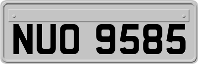 NUO9585