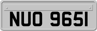 NUO9651