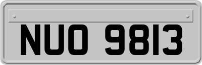 NUO9813