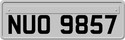 NUO9857