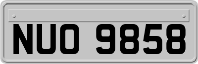NUO9858