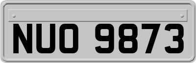 NUO9873
