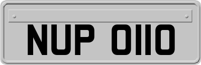 NUP0110