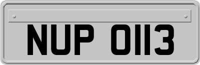 NUP0113