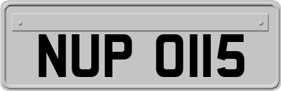 NUP0115