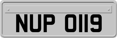 NUP0119