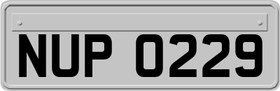 NUP0229
