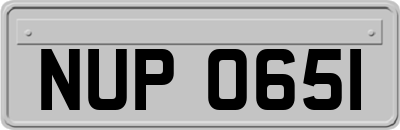 NUP0651