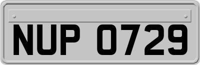 NUP0729