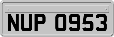 NUP0953