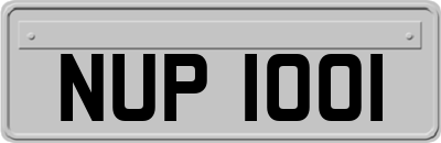 NUP1001