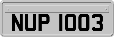 NUP1003