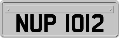 NUP1012