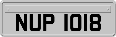 NUP1018