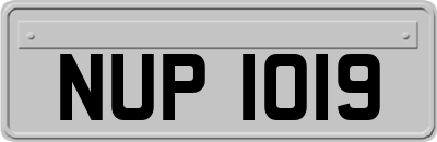 NUP1019