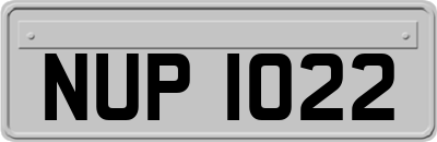 NUP1022