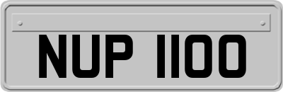 NUP1100
