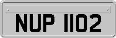 NUP1102