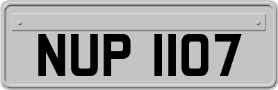 NUP1107