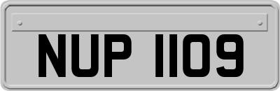 NUP1109