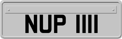 NUP1111