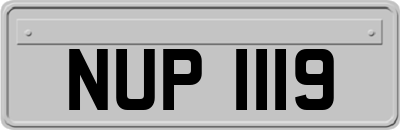 NUP1119