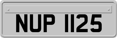 NUP1125