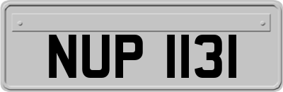 NUP1131